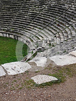 Ancient Ampitheater Ruins with Field Turkey