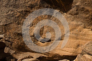 Ancient animal Petroglyphs at Sabu Sudan