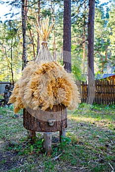 An ancient apiary with artificial hives made of straw and tree bark, standing in the forest among the tall green trees