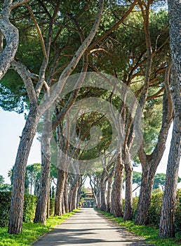 The ancient Appian Way Appia Antica on a sunny spring morning, in Rome.