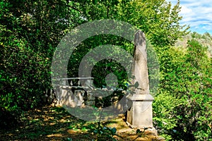 Ancient arbor, at the famous Parco dei Mostri, also called Sacro Bosco or Giardini di Bomarzo. Monsters park. Lazio