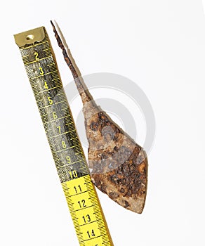 Ancient arrowhead and centimeter ruler on a white background