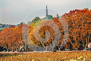 Ancient Baochu Pagoda Autumn West Lake Hangzhou Zhejiang China