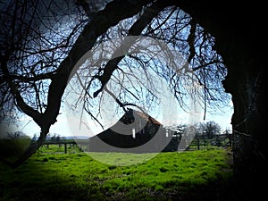 Ancient barn and tree waiting