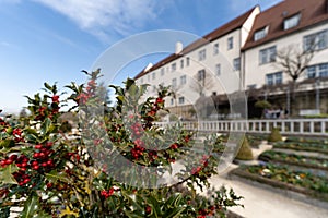 Ancient baroque garden with castle with plants