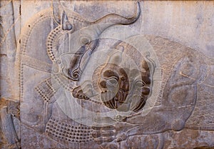 Ancient bas-reliefs of Persepolis photo