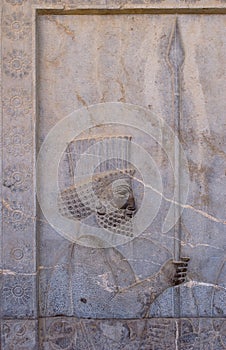 Ancient bas-reliefs of Persepolis photo