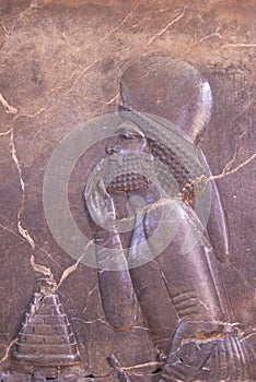 Ancient bas-reliefs of Persepolis