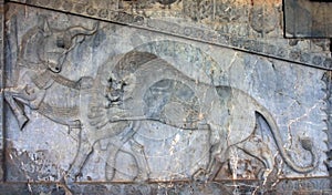 Ancient bas-reliefs of Persepolis, Iran photo