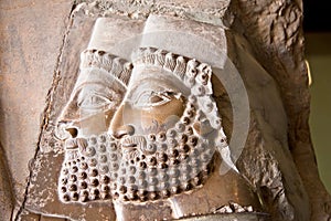 Ancient bas-reliefs of Persepolis, Iran