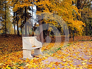 Ancient bench in autumn park