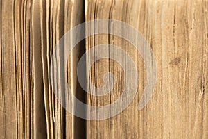 Ancient bible - old book - pages closeup