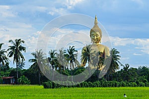 Ancient Big Buddha Image in the Field at Muang Temple , Ang Thong in Thailand