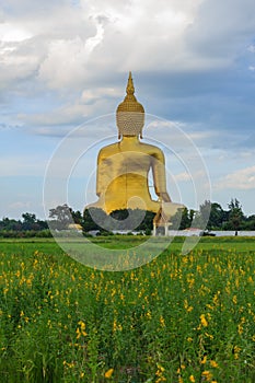 Ancient Big Buddha Image in the Field at Muang Temple , Ang Thong in Thailand