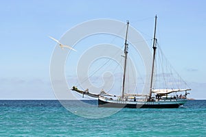 Ancient boat and seagull.