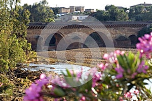 Ancient bridge, dry riverbed, city Niebla, Spain