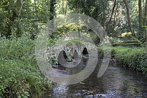 Ancient bridge in Gower