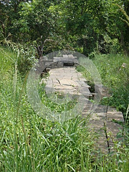 Ancient Bridge in Sri Lanka A Historically Valuable bridge in Anuradhpura, Sri Lanka.