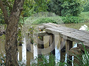 Ancient Bridge in Sri Lanka A Historically Valuable bridge in Anuradhpura, Sri Lanka.