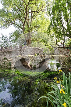 Ancient bridje on the crystalline wather in the Garden of Ninfa