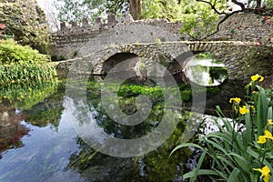 Ancient bridje on the crystalline wather in the Garden of Ninfa