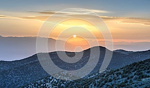 Ancient Bristlecone Pine Forest Sunset