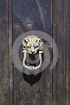 Ancient bronze door knocker detail of wooden door