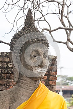 Ancient Buddha Head