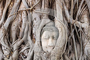 Ancient buddha head in Ayutthaya in Bangkok in Thailand