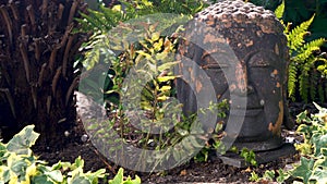 Ancient Buddha Head Statue in foliage of Asian Rain Forest or Jungle