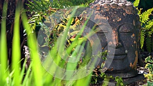 Ancient Buddha Head Statue in foliage of Asian Rain Forest or Jungle