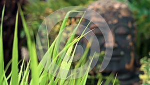 Ancient Buddha Head Statue in foliage of Asian Rain Forest or Jungle