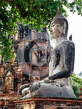 Ancient Buddha Statue at Wat Mahathat Temple, Ayutthaya, Thailand.