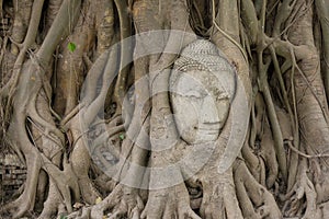 Ancient Buddhism head