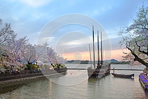 Ancient buildings and cherry blossoms in full bloom in Taihu Lake Park, Wuxi, Jiangsu, China