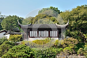 The ancient buildings surrounded by trees