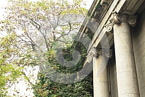 Ancient buildings with trees