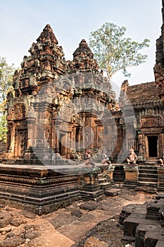 Cambodian temple Banteay Srei Pink Templ photo