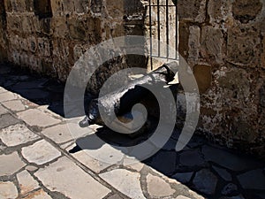 Ancient cannons of defense weapons in the old fortress