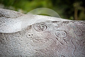 Ancient carved figures on stones in Jayuya Puerto Rico photo