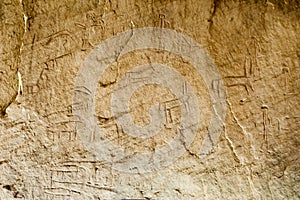 Ancient carving on the rocks, parietal art, cave painting, rock drawing in the Timna National Park, desert of Aravah valley in