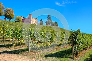 Ancient castle and vineyards in Piedmont, Italy.