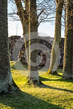 Ancient Castle Wall Ruins on Sunny Day with Green Grass Field