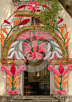 Ancient catholic church entry door mexico flower decoration green old tree blue sky