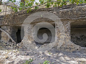 Ancient caves at bandhavgarh National park,Madhya Pradesh,India