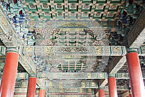Ancient Ceilings photo