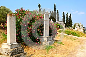 Ancient cemetery