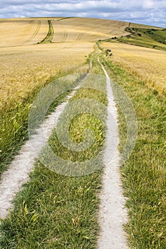 An ancient chalk trackway in East Sussex