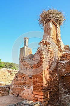 Ancient Chellah Necropolis ruins with mosque and mausoleum in Morocco`s capital Rabat, Morocco, North Africa