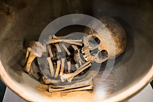 Ancient Child Skeleton